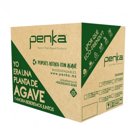 PAILLES AGAVE NATUREL 21CM - CARTON DE 16 BOITES DE 150