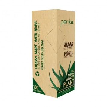 PAILLES AGAVE NATUREL 21CM - CARTON DE 16 BOITES DE 150